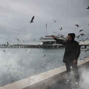 ���������� ��������, ���� ������� Ramaz, 26 ���, ������������ ��� ������, ����� � ���������