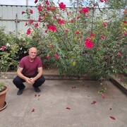 ���������� ������, ���� ������� ������, 54 ����, ������������ ��� ����� � ���������, c�������� ���������