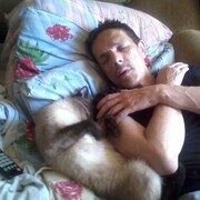   ,   , 53 ,     , c , 
