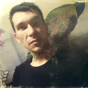  ,   , 35 ,   ,   