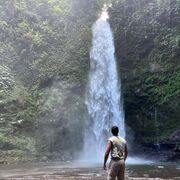 ���������� ���������, ���� ������� ������, 33 ����, ������������ ��� ����� � ���������, c�������� ���������