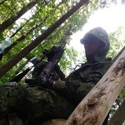 ���������� ������, ���� ������� �������, 36 ���, ������������ ��� ������, ����� � ���������