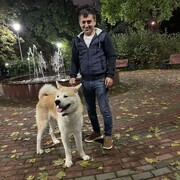 ���������� ������, ���� ������� ������, 37 ���, ������������ ��� ������