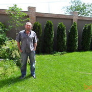 ���������� �������, ���� ������� Davidka, 48 ���, ������������ ��� ������