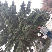 ���������� ������, ���� ������� Norayraper, 42 ����, ������������ ��� ������, ����� � ���������, c�������� ���������