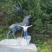  -,    , 36 ,   ,   , c , 