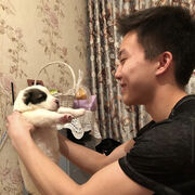 ���������� ������, ���� ����� ����, 23 ����, ������������ ��� ������, ����� � ���������