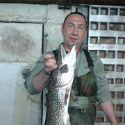 ���������� ������, ���� ������� �����, 49 ���, ������������ ��� c�������� ���������