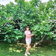  ,   , 38 ,     , c 