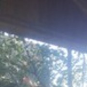 ���������� ���������, ���� ������� ������, 33 ����, ������������ ��� ������, ����� � ���������, c�������� ���������