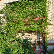  ,   , 55 ,   ,   , c , 
