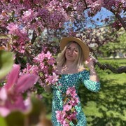  ,   , 29 ,   c 