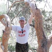 ���������� �����, ���� ������� Deni, 42 ����, ������������ ��� ����� � ���������, c�������� ���������, ���������