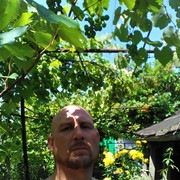  ,   , 41 ,   ,   , c , 