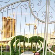 ���������� ������, ���� ������� ������, 41 ���, ������������ ��� ������, ����� � ���������