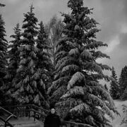 ���������� �����-���������, ���� ����� ���������, 25 ���, ������������ ��� ������, ����� � ���������