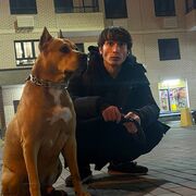 ���������� ������, ���� ����� ����, 22 ����, ������������ ��� ������, ����� � ���������, ���������