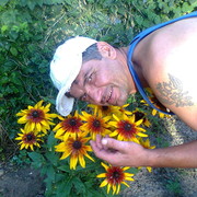  ,   , 51 ,   