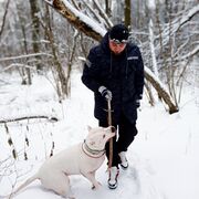 ���������� ������, ���� ������� �������, 39 ���, ������������ ��� ����� � ���������, c�������� ���������