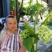 ���������� ������, ���� ������� �������, 53 ����, ������������ ��� ������, ����� � ���������