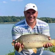 ���������� ������, ���� ������� �������, 49 ���, ������������ ��� ������, ����� � ���������