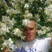  ,   , 43 ,   