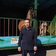  ,   , 38 ,   ,   