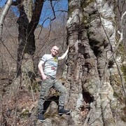 ���������� ��������, ���� ������� ���������, 37 ���, ������������ ��� ������, ����� � ���������, c�������� ���������, ���������