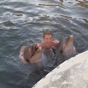 ���������� ����������, ���� ������� ������, 37 ���, ������������ ��� ������, ����� � ���������, c�������� ���������