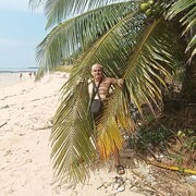  -,   , 44 ,   ,   , c , 