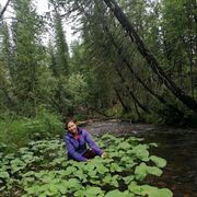 ���������� ������, ���� ������� �������, 49 ���, ������������ ��� ������, ����� � ���������, c�������� ���������