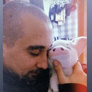 ���������� ������, ���� ������� ����, 29 ���, ������������ ��� ������, ����� � ���������, c�������� ���������