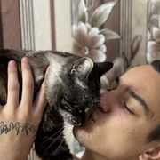 ���������� �����, ���� ����� �����, 22 ����, ������������ ��� ������