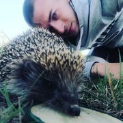  ,  , 26