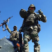 ���������� �����������, ���� ������� ����, 38 ���, ������������ ��� c�������� ���������