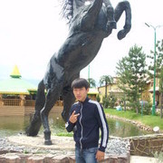  ,   Kanat, 32 ,   