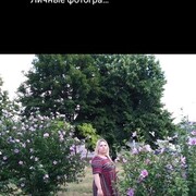  ,   , 31 ,     , c 