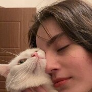 ���������� ������, ���� ������� ������, 24 ����, ������������ ��� ������, ����� � ���������, ���������