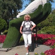 ���������� ��������, ���� ������� ���������, 67 ���, ������������ ��� ������, ����� � ���������