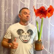 ���������� ������, ���� ������� ����, 55 ���, ������������ ��� ������, ����� � ���������, c�������� ���������, ���������