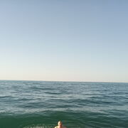 ���������� ������, ���� ������� �������, 61 ���, ������������ ��� ����� � ���������, c�������� ���������