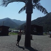  ,   , 29 ,   ,   , c 