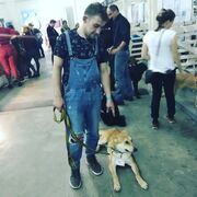  ,   , 36 ,   ,   