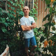 ���������� ������, ���� ������� �����, 29 ���, ������������ ��� ������, ����� � ���������, c�������� ���������