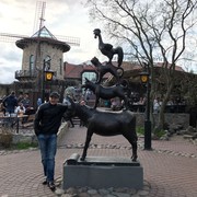  -,   , 41 ,     , c 