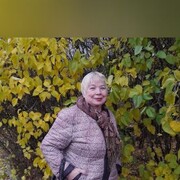  -,   , 60 ,   
