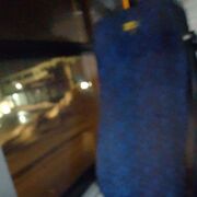 ���������� ������, ���� ������� �������, 42 ����, ������������ ��� ������, ����� � ���������