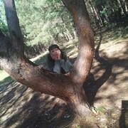  ,   , 50 ,   ,   