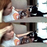 ���������� �����-���������, ���� ������� ����������, 35 ���, ������������ ��� ������, ����� � ���������