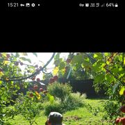 ���������� ������, ���� ������� ����, 57 ���, ������������ ��� c�������� ���������